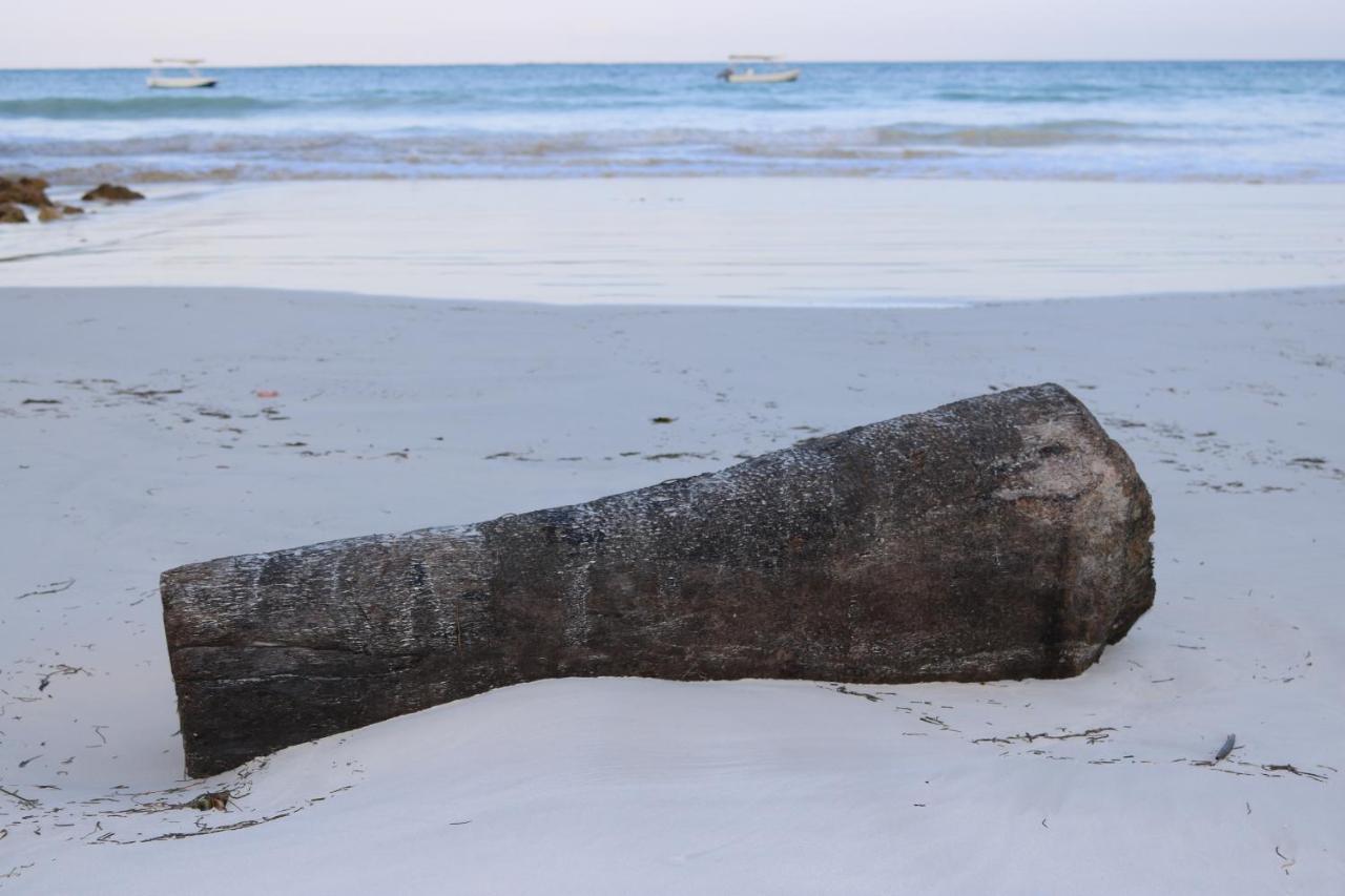 A Wonderful Beach Property In Diani Beach Kenya.A Dream Holiday Place. Mombasa Eksteriør bilde